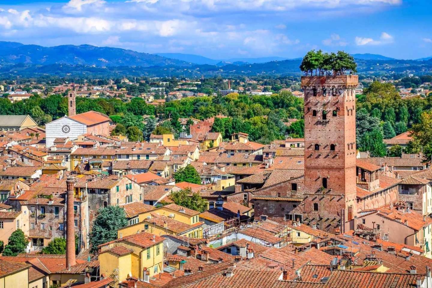 Dimora Leonardo. Centro Storico.